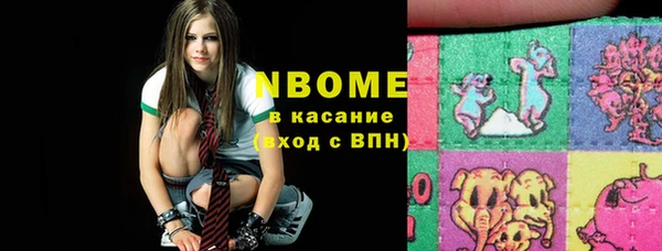 стафф Вязьма