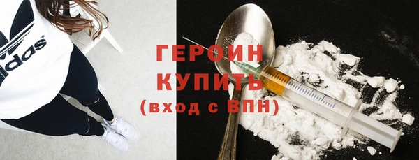 молекула духа Вяземский