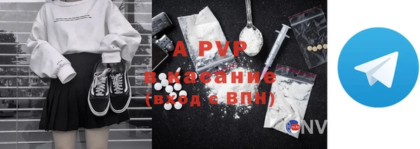 молекула духа Вяземский