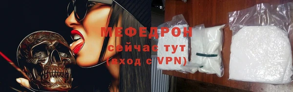 молекула духа Вяземский