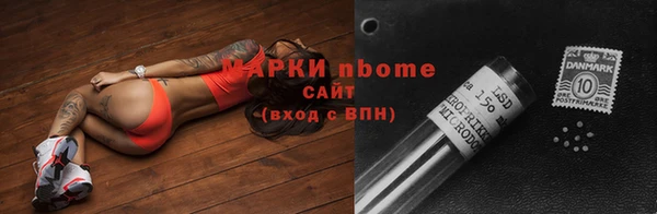 стафф Вязьма