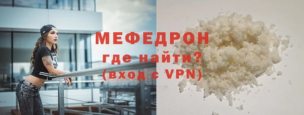 молекула духа Вяземский