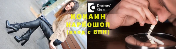 шишки Каменногорск