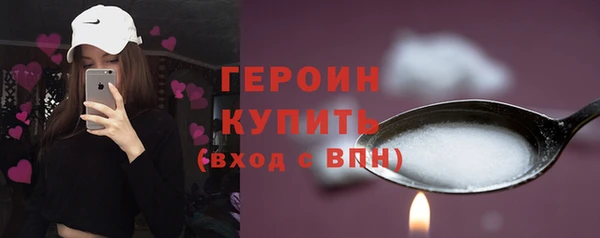 молекула духа Вяземский
