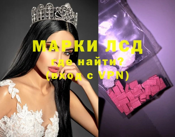 молекула духа Вяземский