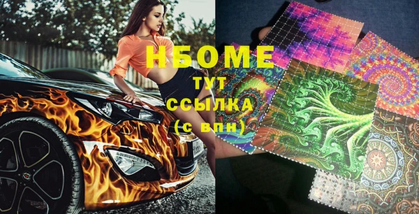 молекула духа Вяземский