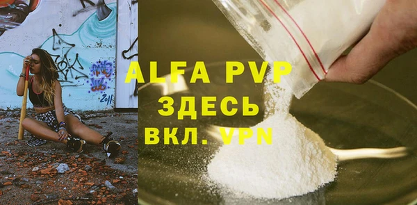 стафф Вязьма