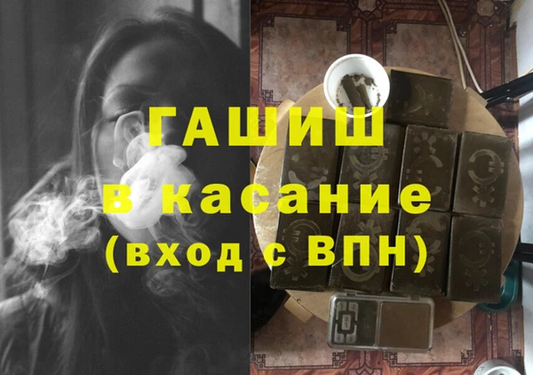 молекула духа Вяземский