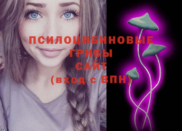 молекула духа Вяземский