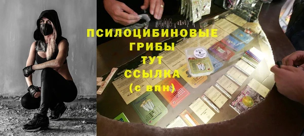 молекула духа Вяземский