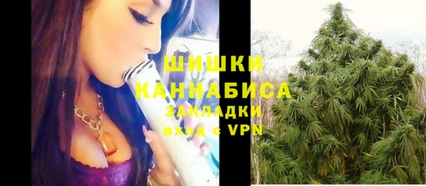 молекула духа Вяземский