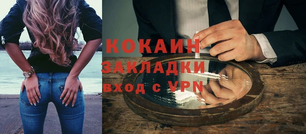 стафф Вязьма