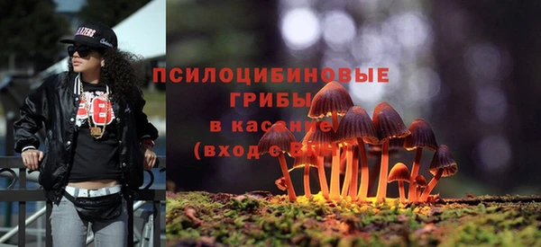 молекула духа Вяземский