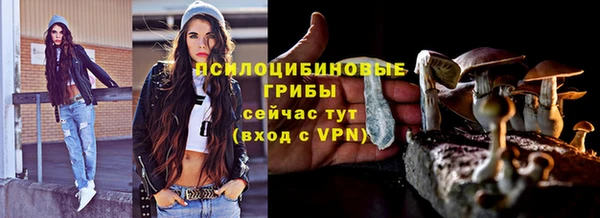 стафф Вязьма