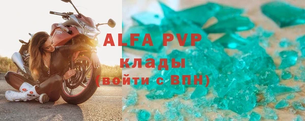 стафф Вязьма