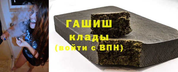 молекула духа Вяземский
