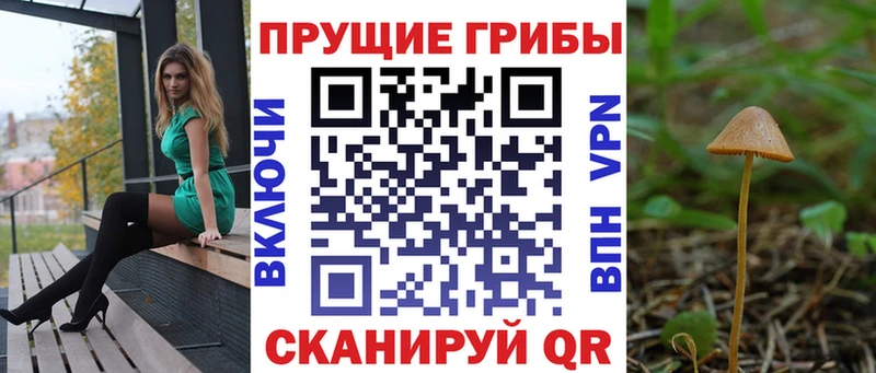 хочу наркоту  Знаменск  Псилоцибиновые грибы Cubensis 